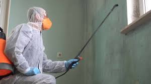 Why You Should Choose Our Mold Remediation Services in Pollock Pines, CA